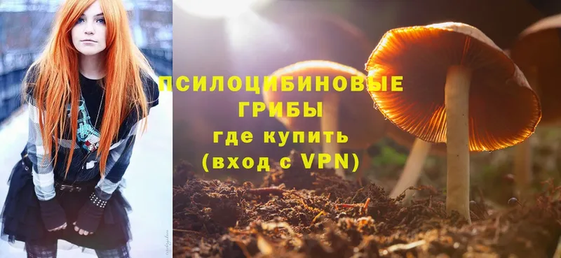 Псилоцибиновые грибы Cubensis  mega ССЫЛКА  Льгов 